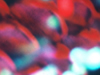 Pine cones 2